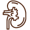 CRRT (Continuous Renal Replacement Therapy)