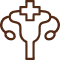 Gynecological Endoscopy (Hysteroscopy, Laparoscopy)