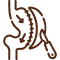 Sleeve Gastrectomy