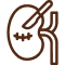 Kidney Protective Surgeries