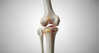 Arthroscopy and knee and joint replacement surgery in Nagpur at Aureus Hospital